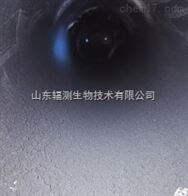 FC-smx4微波石墨烯炉